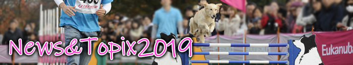 2017トップ