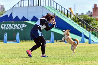 エキストラ大会