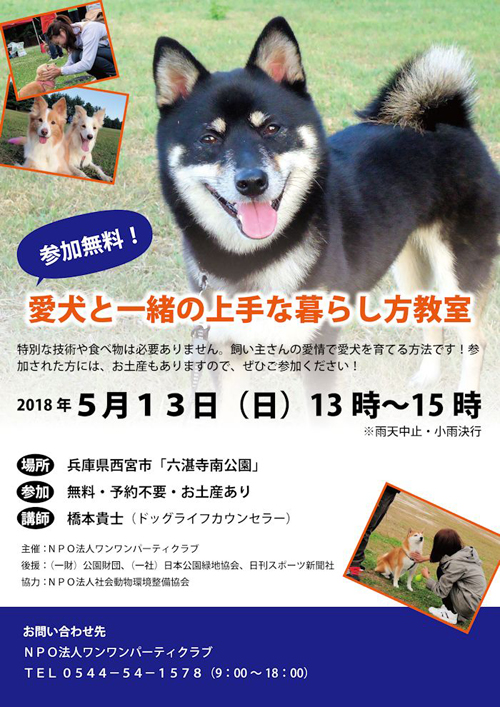 チラシ